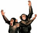 2Chimps.com