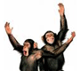 2chimps.com